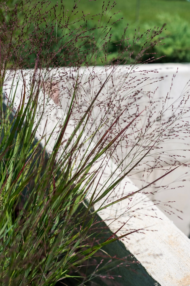 Lake Columbia Modern Lakefront Landscape by TERRAFIRMA Landscape - Photo 19