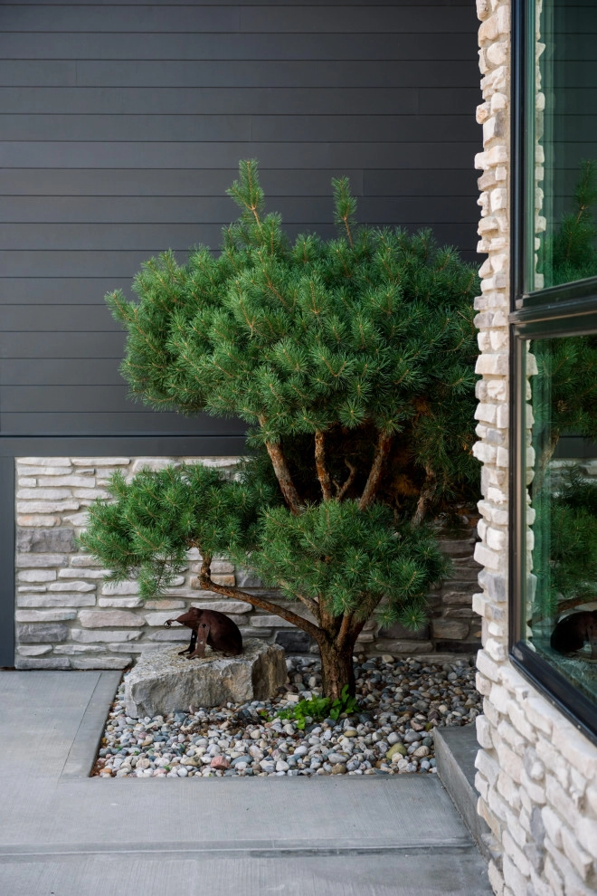 Lake Columbia Modern Lakefront Landscape by TERRAFIRMA Landscape - Photo 20