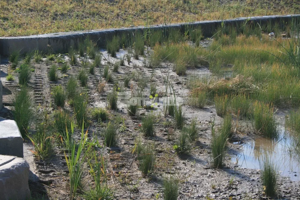 Bomanite Grasscrete Permeable Concrete System utilizing Molded Pulp Formers by Bomanite Of Oklahoma - Photo 3