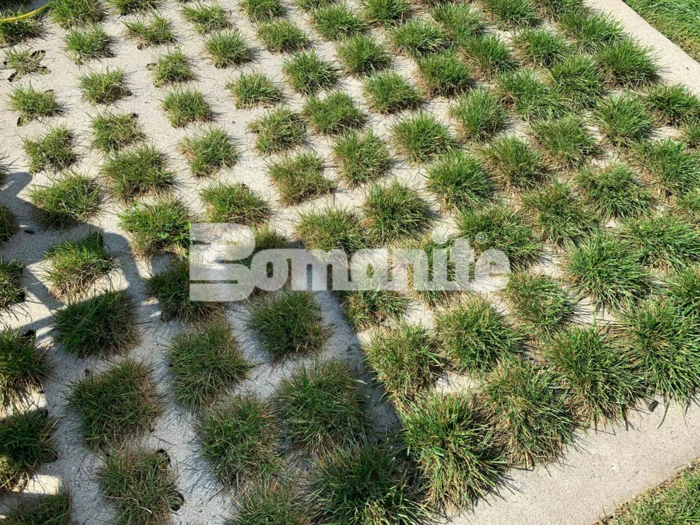 Bomanite Grasscrete Permeable Concrete System utilizing Molded Pulp Formers by Bomanite Of Tulsa - Photo 3