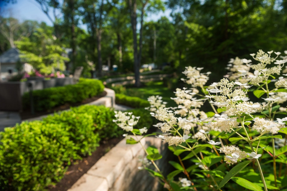 Backyard Paradise Refresh by TERRAFIRMA Landscape - Photo 16