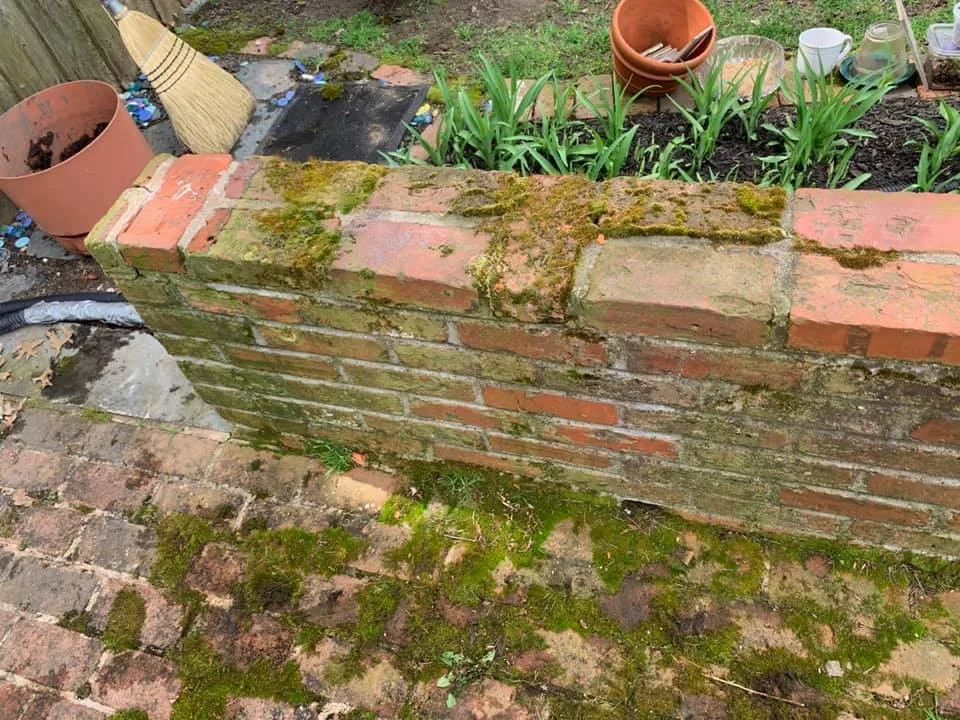 Masonry Cleaning by Layton's Sealer Pro - Photo 3