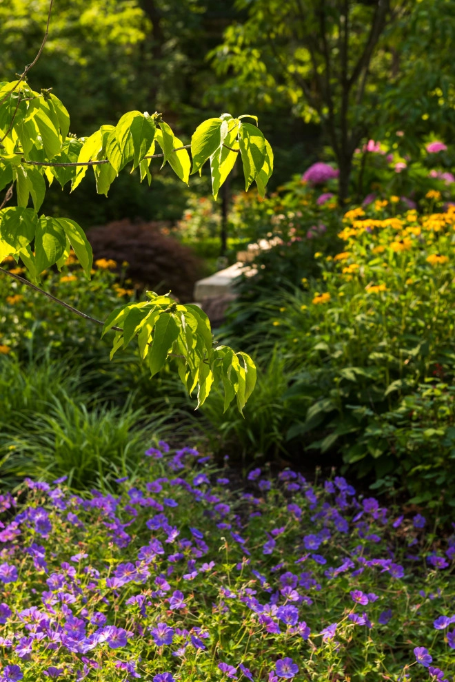 Backyard Paradise Refresh by TERRAFIRMA Landscape - Photo 8