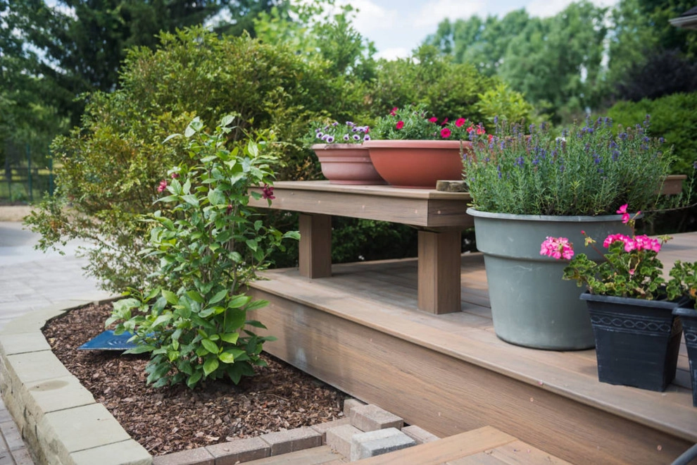 Sundrenched Outdoor Living by TERRAFIRMA Landscape - Photo 10