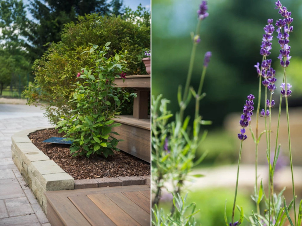 Sundrenched Outdoor Living by TERRAFIRMA Landscape - Photo 3