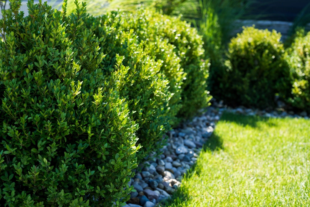 Lake Columbia Modern Lakefront Landscape by TERRAFIRMA Landscape - Photo 17