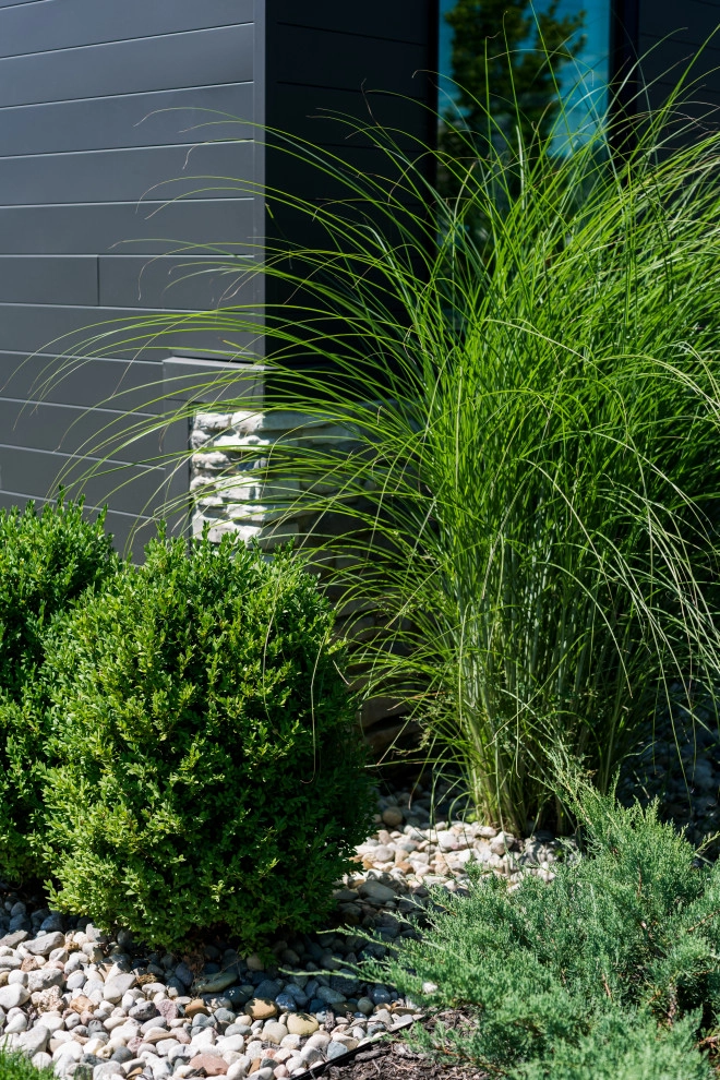 Lake Columbia Modern Lakefront Landscape by TERRAFIRMA Landscape - Photo 3