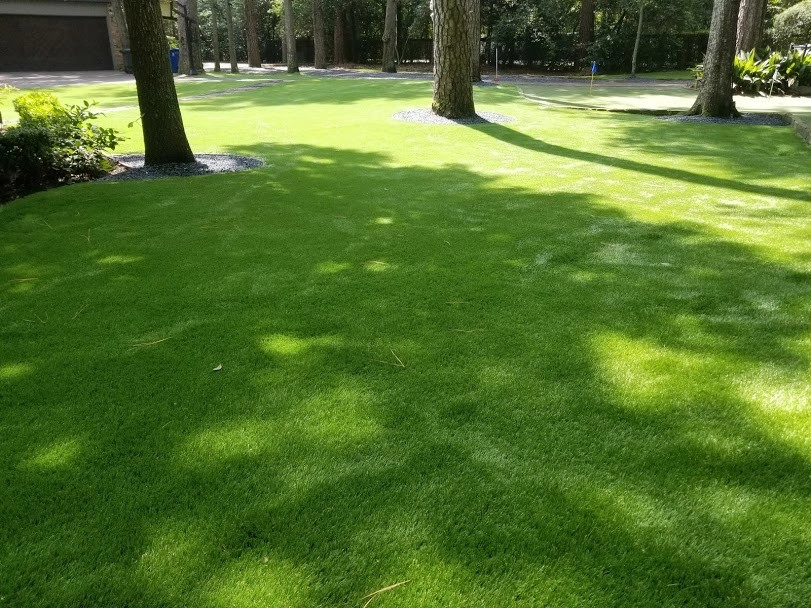 Recent Turf Installations by Texans Turf - Photo 9