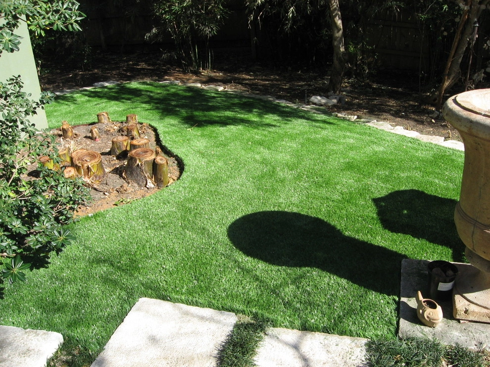 Downtown Austin by Texas Custom Turf - Photo 4