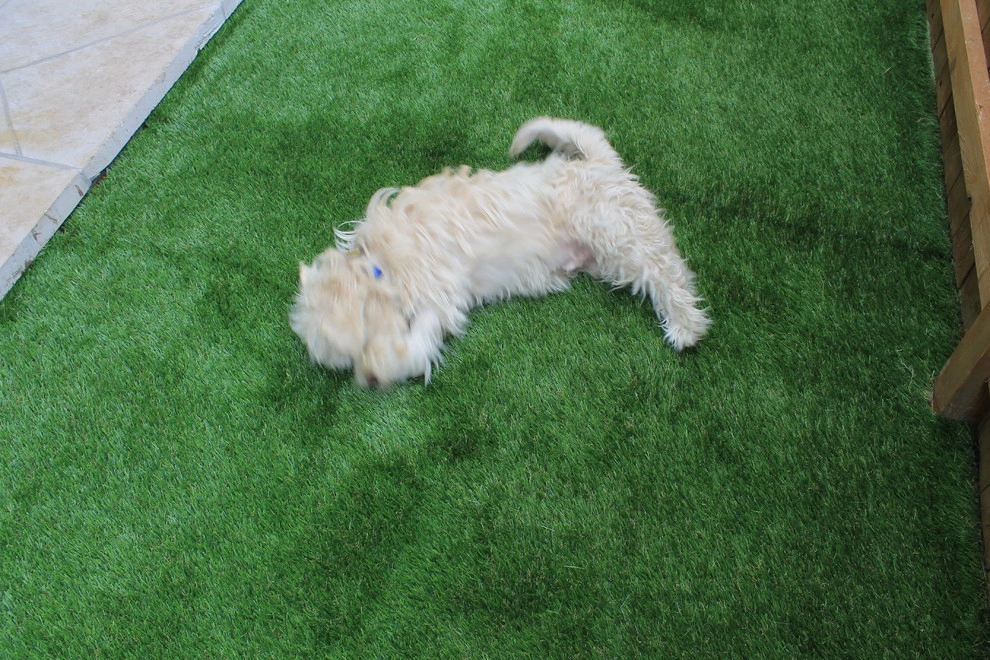 Emma Long by Texas Custom Turf - Photo 2