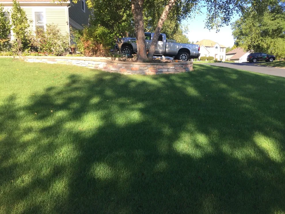 Stonework and Masonry Solutions by Cipala Decorative Concrete Inc - Photo 3