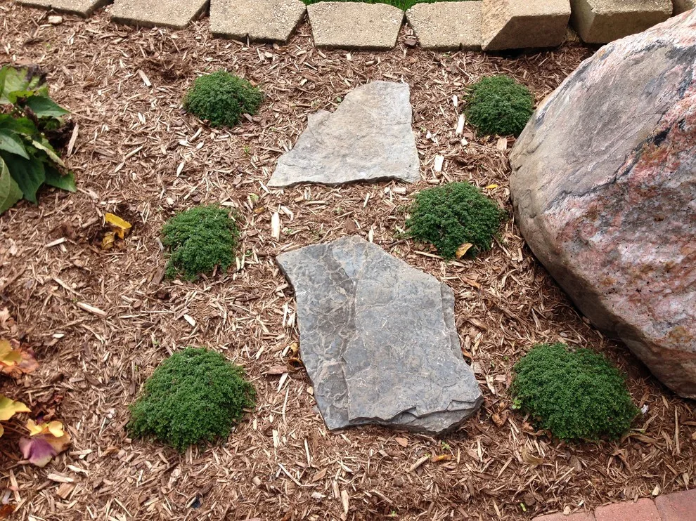 Condominium with Updated Patio and Entrance Pathway by Twin Oaks Landscape, Inc. - Photo 2