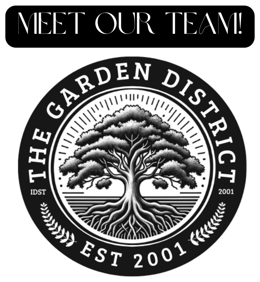 TEAM MEMBERS by The Garden District - Photo 5