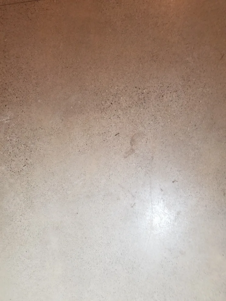 Detroit Fire Service by W.E. Concrete Polishing - Photo 34