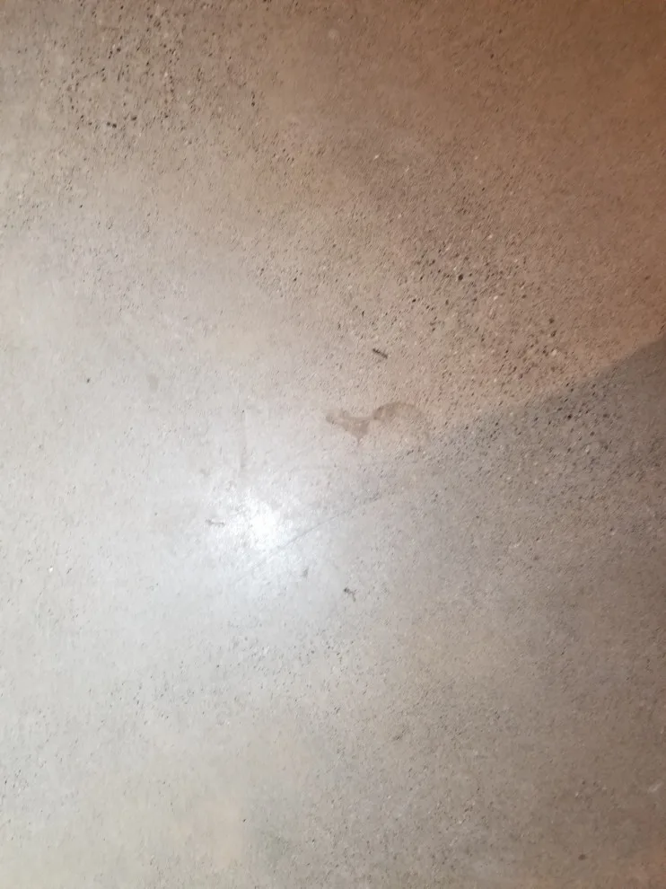 Detroit Fire Service by W.E. Concrete Polishing - Photo 38