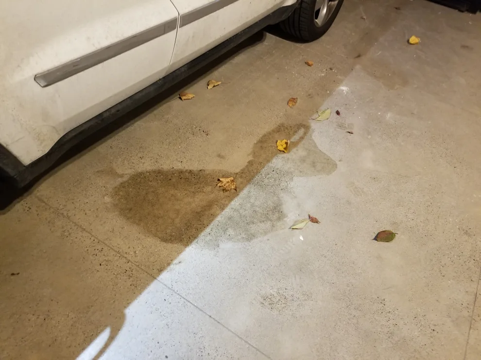 Detroit Fire Service by W.E. Concrete Polishing - Photo 65