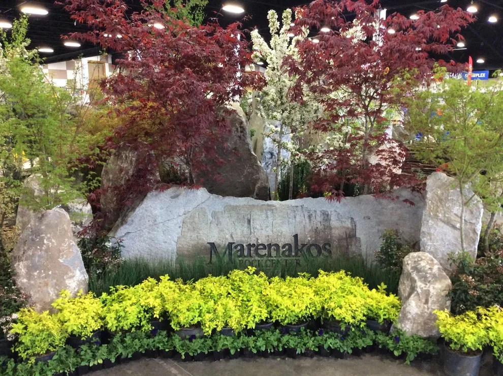 Showcases by Marenakos Rock Center - Photo 16