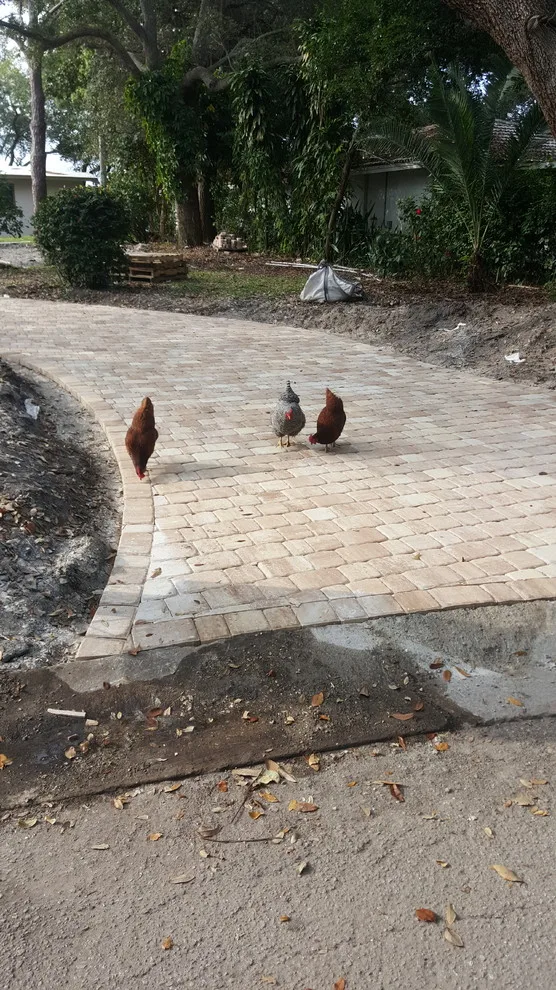 Driftwood Haven by JR Pavers Inc. - Photo 14