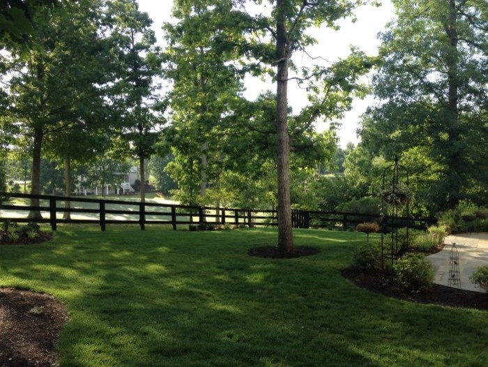 The Great Outdoors, LLC. - Photo 2