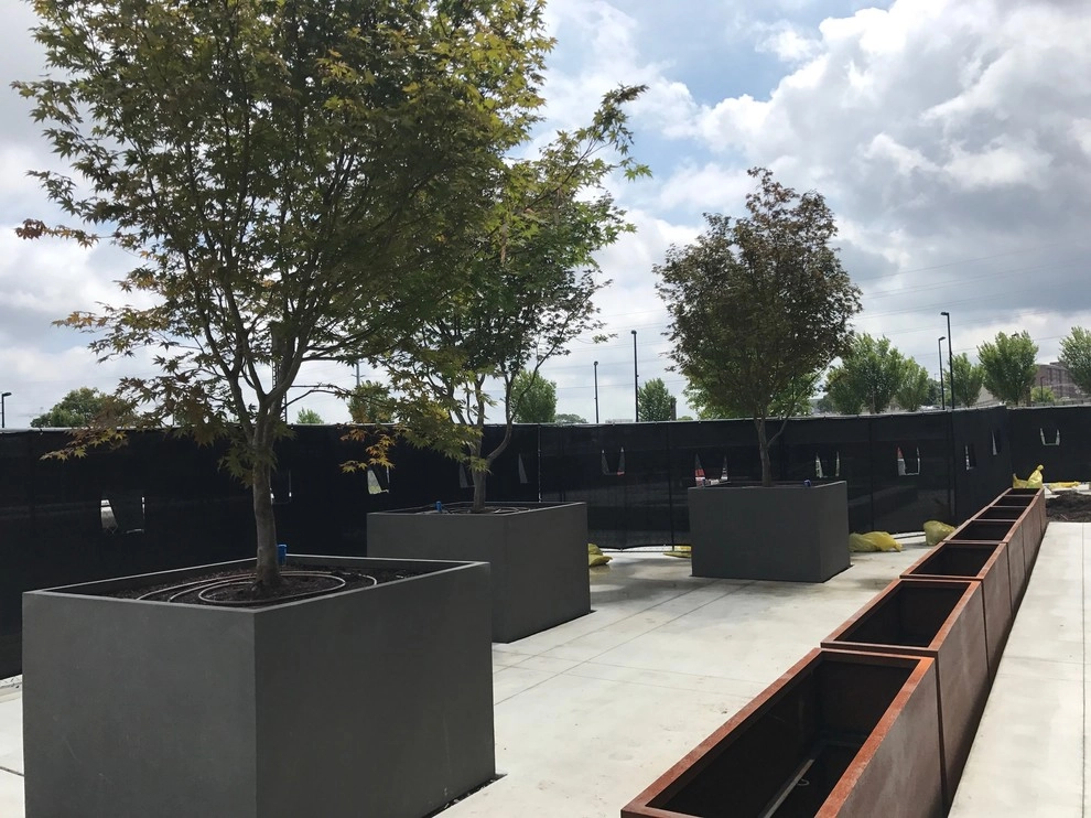 Pastaria at OneCity by The Greathouse Company LLC - Photo 2