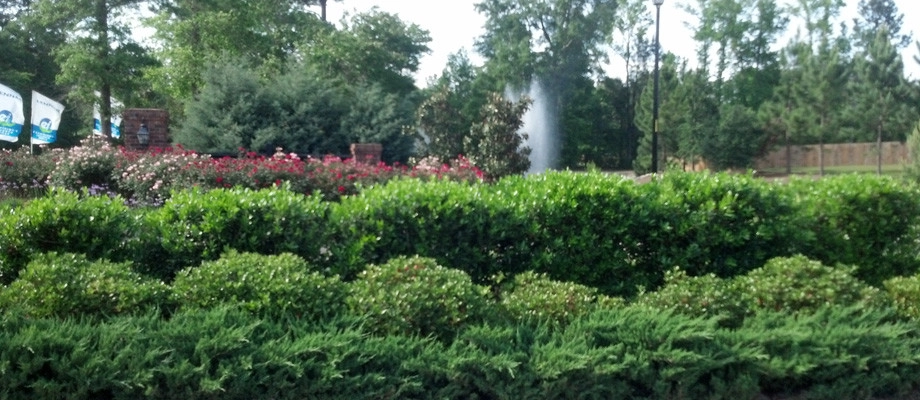Garden Path by The Greathouse Company LLC - Photo 12