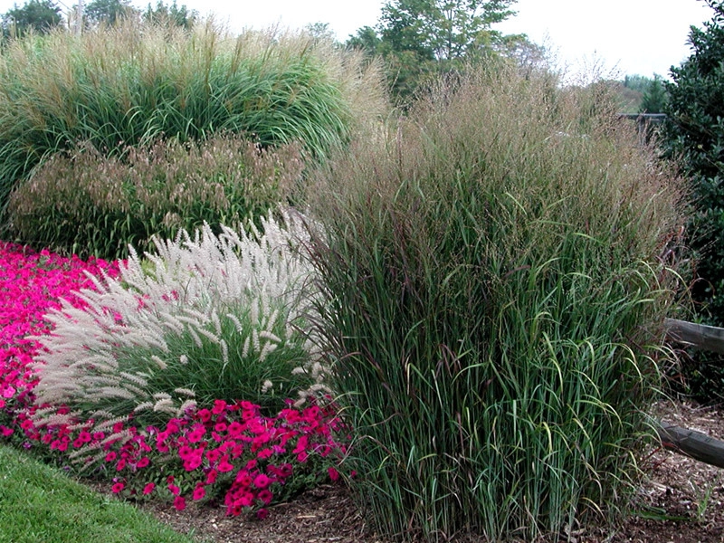 The Greathouse Company LLC - Photo 12
