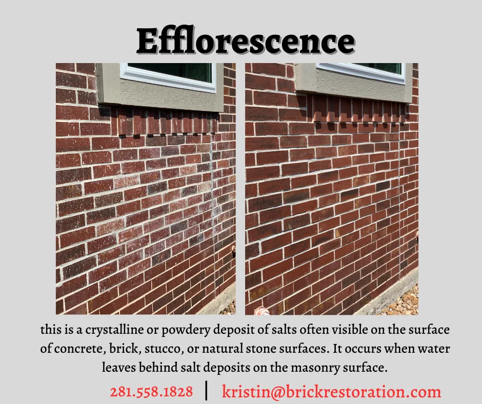Blooming Stain Elimination by Brick Restoration - Photo 2