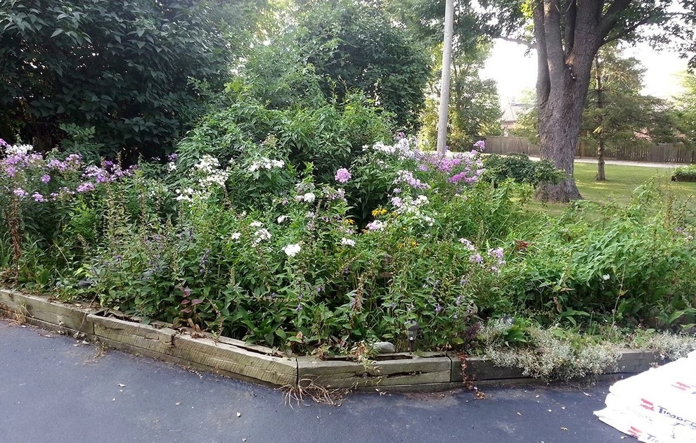 The Grounds Guys Of McHenry - Photo 4