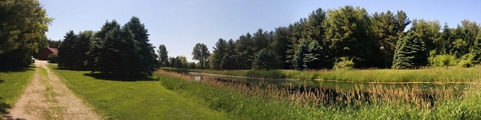 The Grounds Guys Of McHenry - Photo 3