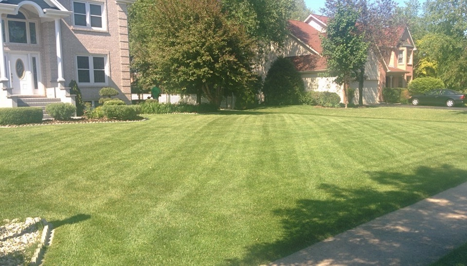 The Grounds Guys Of McHenry - Photo 14