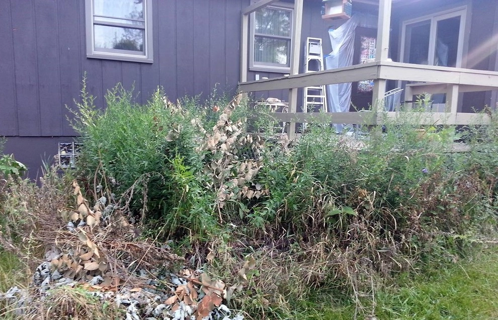 The Grounds Guys Of McHenry - Photo 11