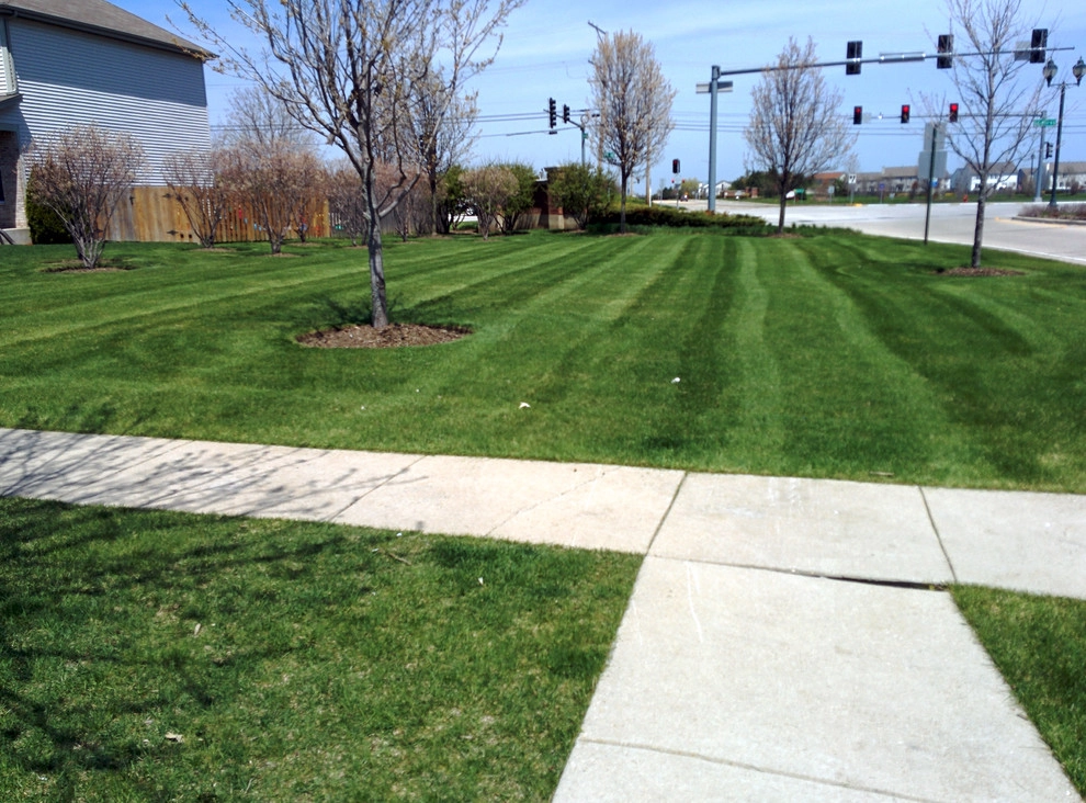 The Grounds Guys Of McHenry - Photo 6