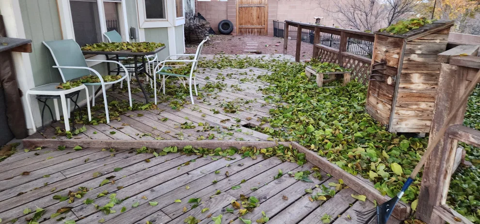 Outdoor Space Makeovers by Albuquerque Construction & Concrete - Photo 9