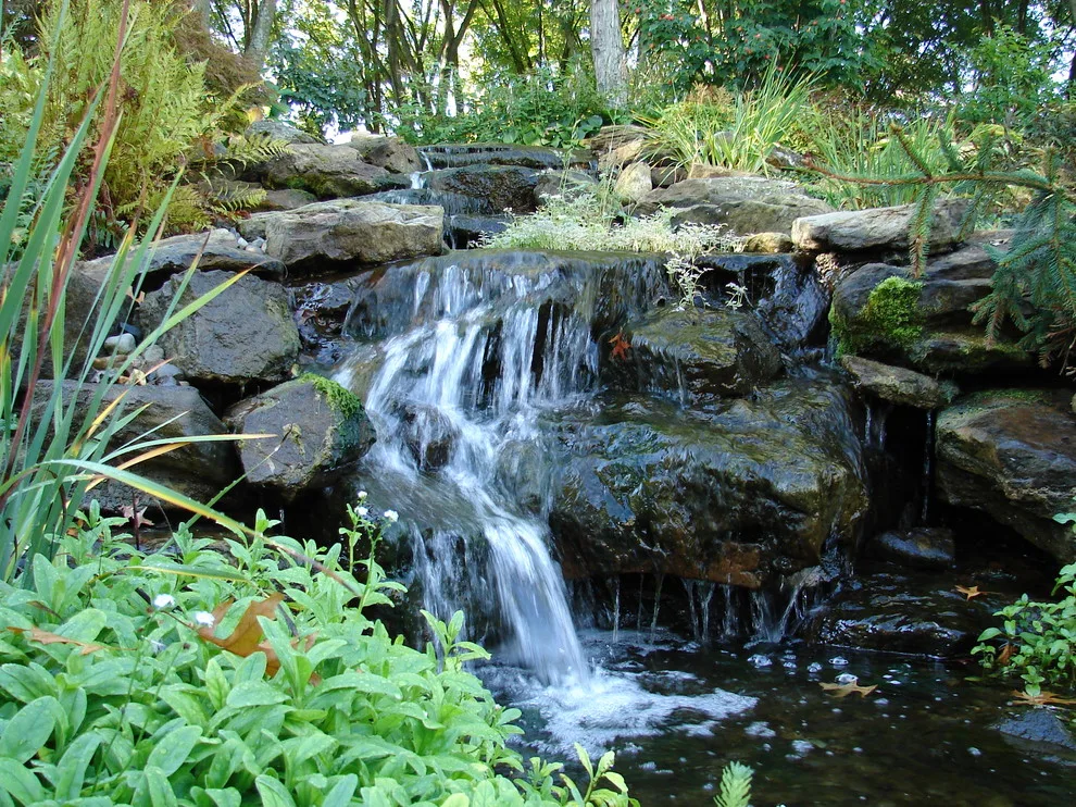 Natural Bath Environment by Land Creations Landscaping Inc. - Photo 3