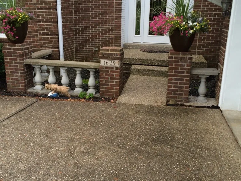 Advanced Grounds Maintenance, LLC - Photo 6