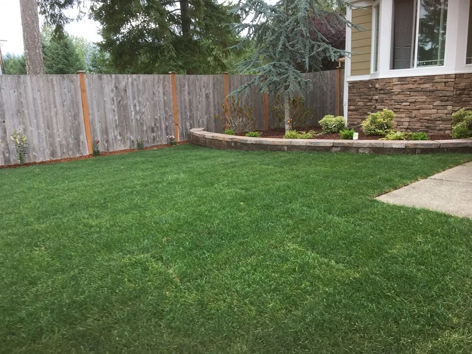 Yard Front Landscape Design by IPros Landscaping & Construction Division - Photo 2
