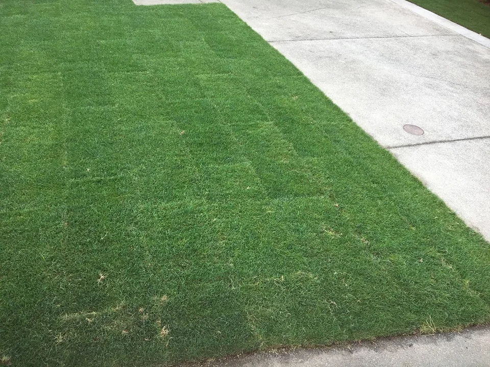 IPros Landscaping & Construction Division - Photo 11