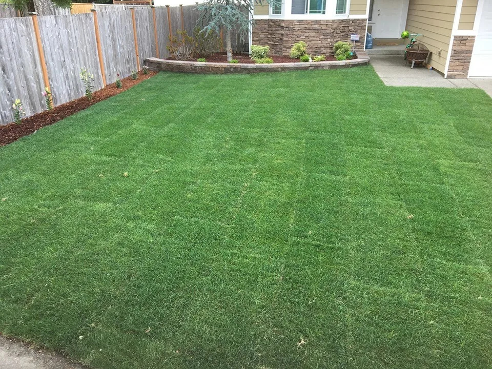 Yard Front Landscape Design by IPros Landscaping & Construction Division - Photo 3
