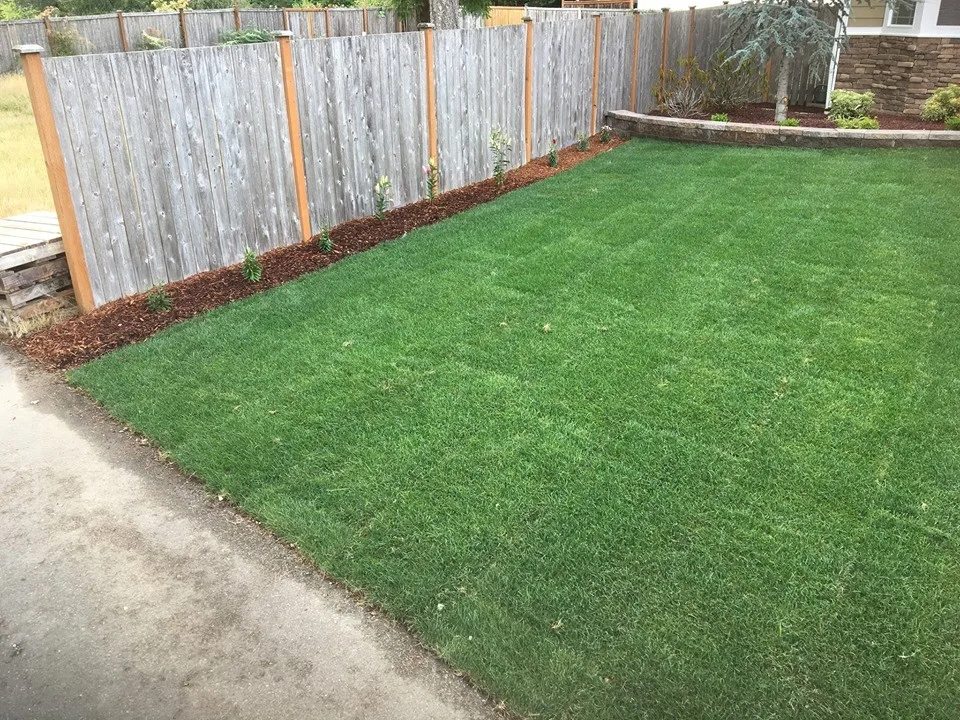 Yard Front Landscape Design by IPros Landscaping & Construction Division - Photo 5
