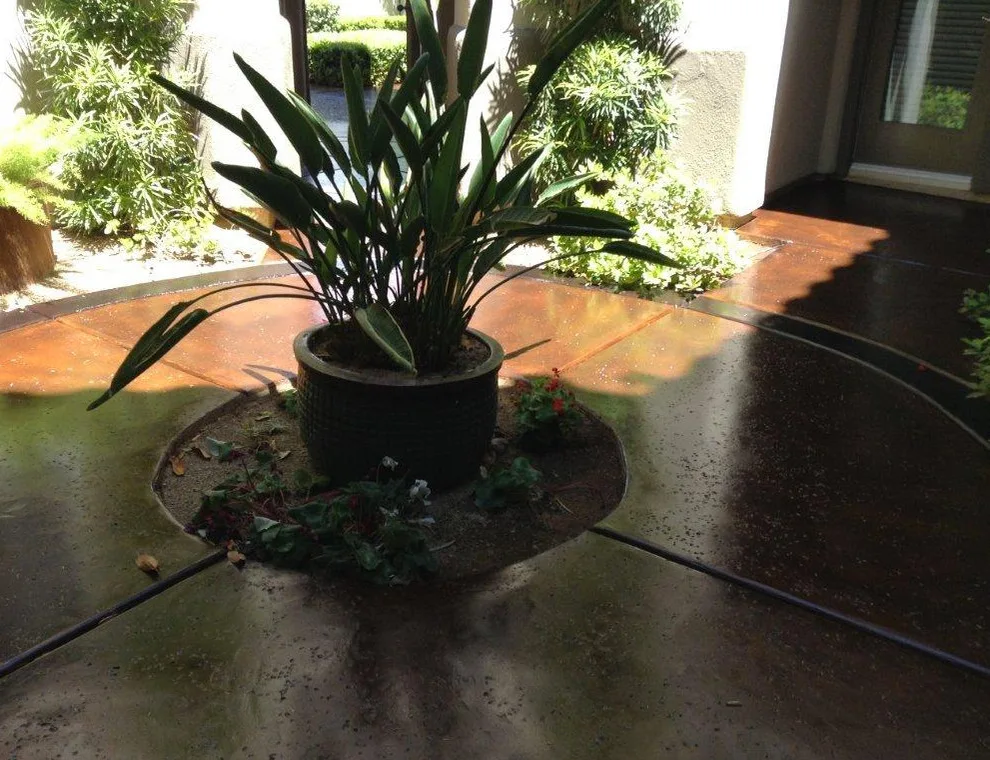 Royal Flush Concrete - Photo 9