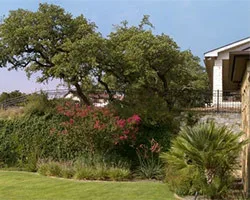 Marula Landscape & Design - Photo 7