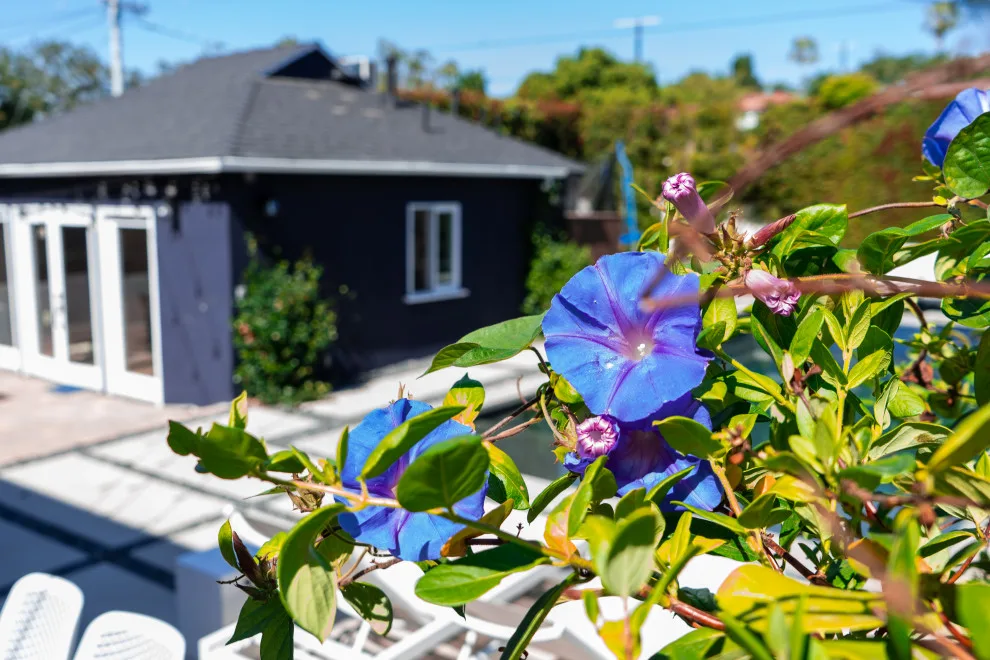 EHD Builders - Photo 8