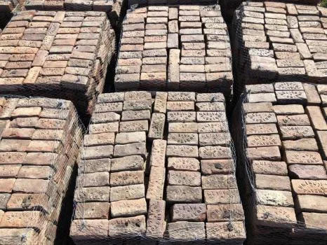 Gavin Historical Bricks - Photo 3