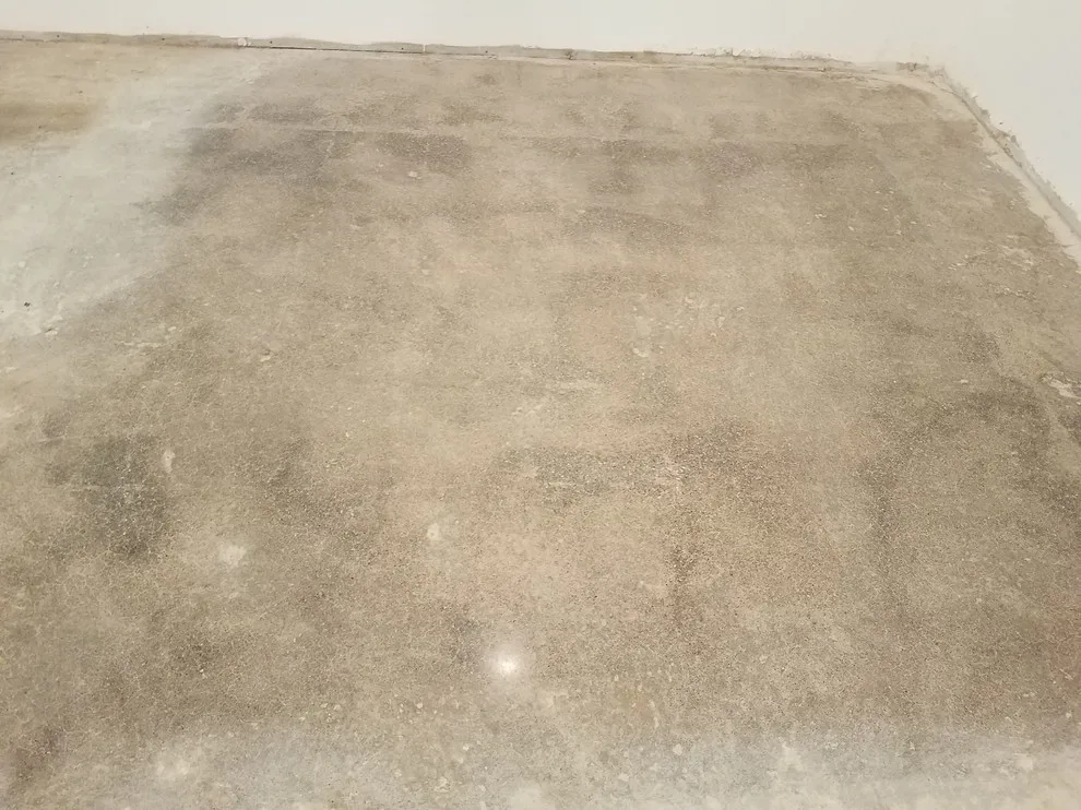 Generosity by W.E. Concrete Polishing - Photo 36