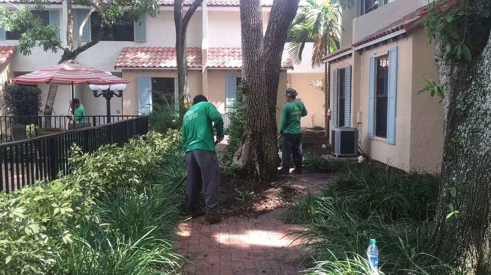 The Landscaping People, Inc. - Photo 5
