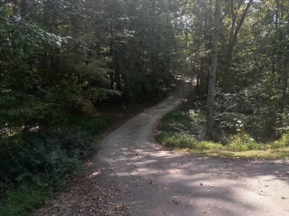 Halley Pathway by Oswald Concrete Services And Landscaping, LLP - Photo 6