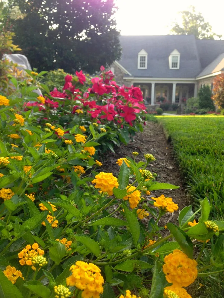 Landscaping and Hardscape Design by Outdoor Visions By Jeff Gray LLC - Photo 2