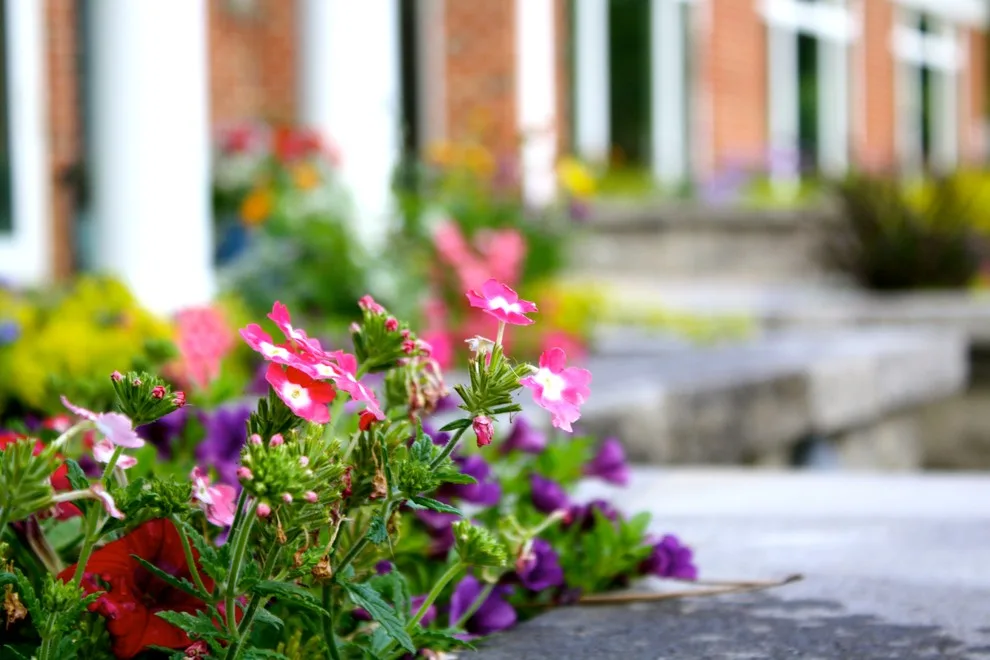 Landscaping and Hardscape Design by Outdoor Visions By Jeff Gray LLC - Photo 11