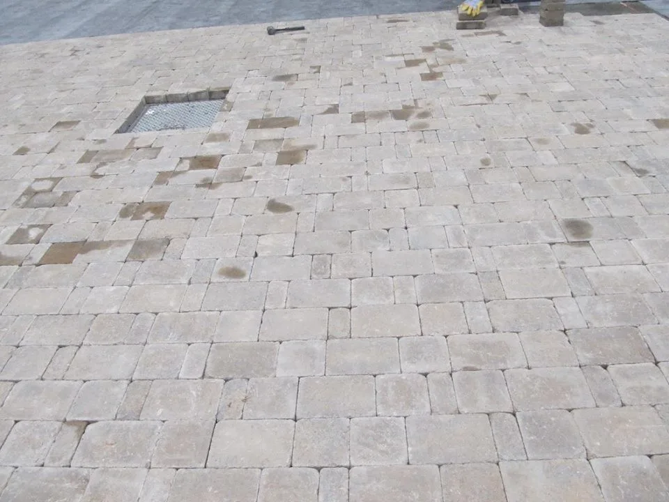 Residential Exhibition by Stepping On Stones - Photo 9