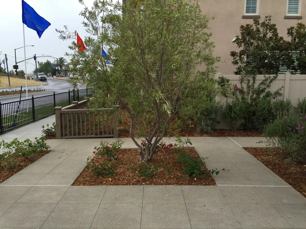 Ims and Ivy Residential Designs by Elite Concrete & Masonry Corporation - Photo 6
